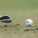 State golfers to fifth straight NCAA regional appearance resize