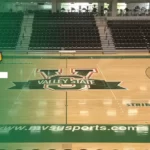 Arkansas-Pine Bluff edges Mississippi Valley State on final free throws UAPB Defeats Valley on Free Throws as Time Expired