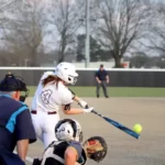 Hinds Softball Splits Doubleheader Against Top-Ranked Parkland Hinds Softball Takes Game One, Earns Split Against Nationally Ranked Parkland