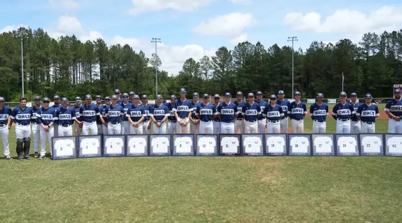 Marshall’s walk-off single lifts William Carey past Greenville, 4-3 Marshall locks up walk-off win in series rubber game with Greenville, 4-3