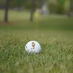 Southern Miss Men’s Golf Finishes Regular Season at Mossy Oak Collegiate Men’s Golf Finishes Regular Season at Mossy Oak Collegiate