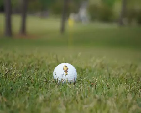 Southern Miss Men’s Golf Finishes Regular Season at Mossy Oak Collegiate Men’s Golf Finishes Regular Season at Mossy Oak Collegiate