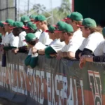 Bethune-Cookman Dominates Mississippi Valley State in SWAC Series Baseball Falters In Final Two Games Of BCU Series