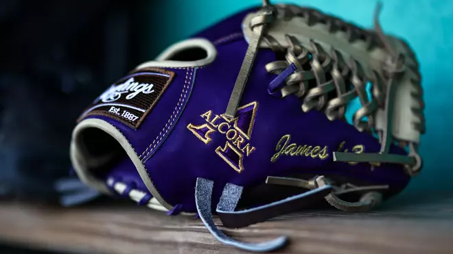 Prairie View Dominates Alcorn 11-1 in SWAC Baseball Opener Prairie View Too Much for Braves, 11-1