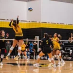 Southern Miss Volleyball to Play Exhibition Match at Mississippi State Volleyball Travels to Mississippi State for Exhibition Match