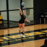 Allie Hazelwood Named Sun Belt Volleyball Setter of the Week Allie Hazelwood Wins Season’s First SBC Setter of the Week Award