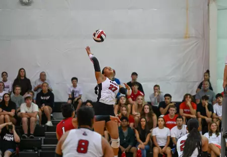 William Carey Volleyball Tops Baptist University in Five Sets Lady Crusaders Rally Past Eagles in 3-2 Road Victory