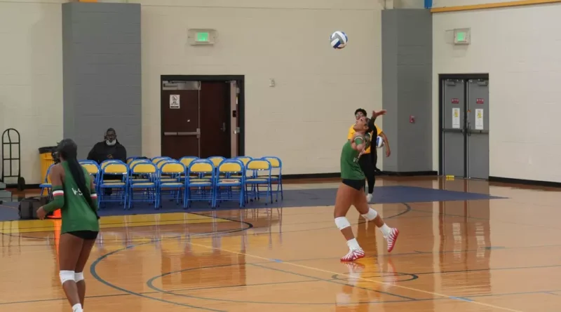 Mississippi Valley State women’s volleyball loses two SWAC matches on road trip Wooten, Walker Lead Delta Devils' Efforts in SWAC Road Swing Against Southern, Alcorn State