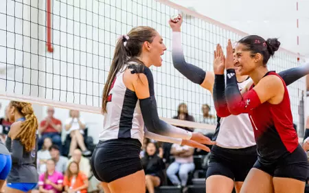 William Carey Volleyball Wins in Straight Sets Over Dillard Lady Crusaders Power Past Dillard