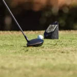 Mississippi State Cancels Final Round at The Ally Due to Illness Canceled: Final Round at The Ally